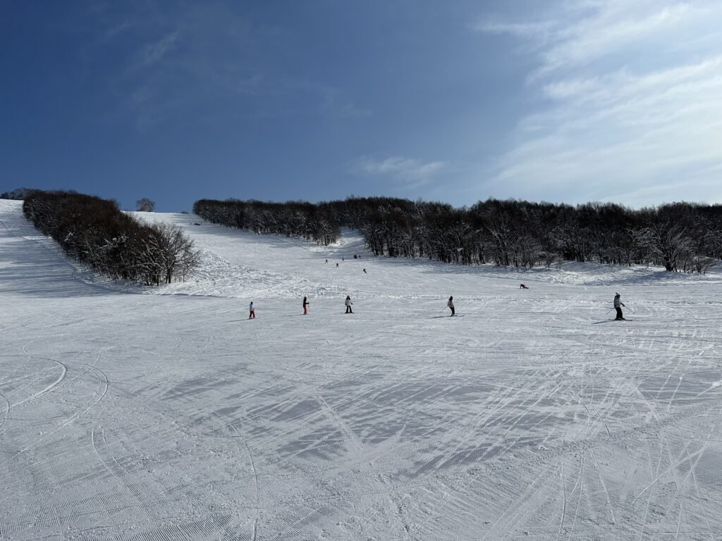 ⛷️ 핍푸 스키장(핍푸스키조) 이미지 6
